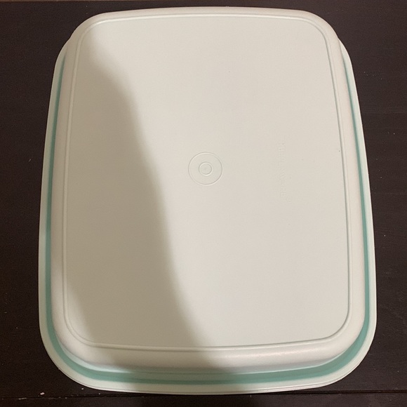 Tupperware Marinator Season N Serve Tenderizer 1295-2 Mint Green Frosted Lid VTG - Picture 8 of 12